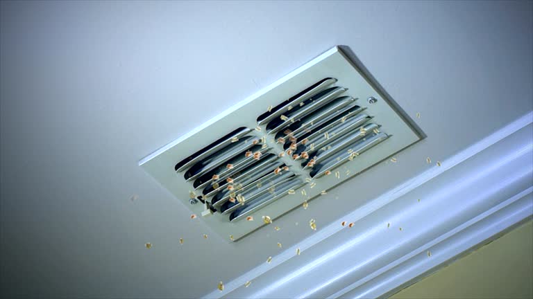 Best Ventilation Cleaning Services  in Fredericksburg, TX